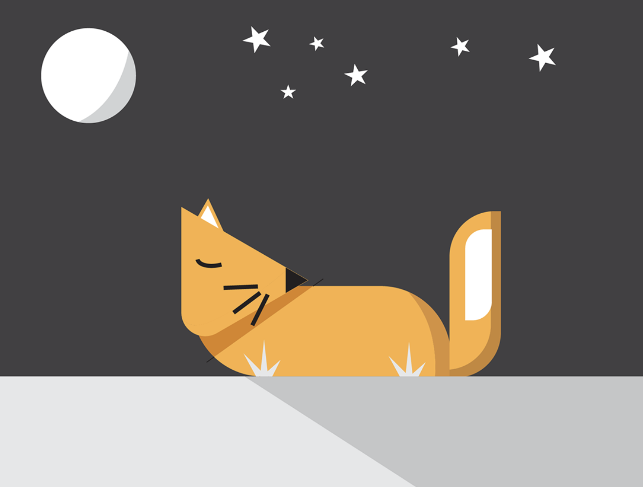 Flat fox illustration against a moonlit background