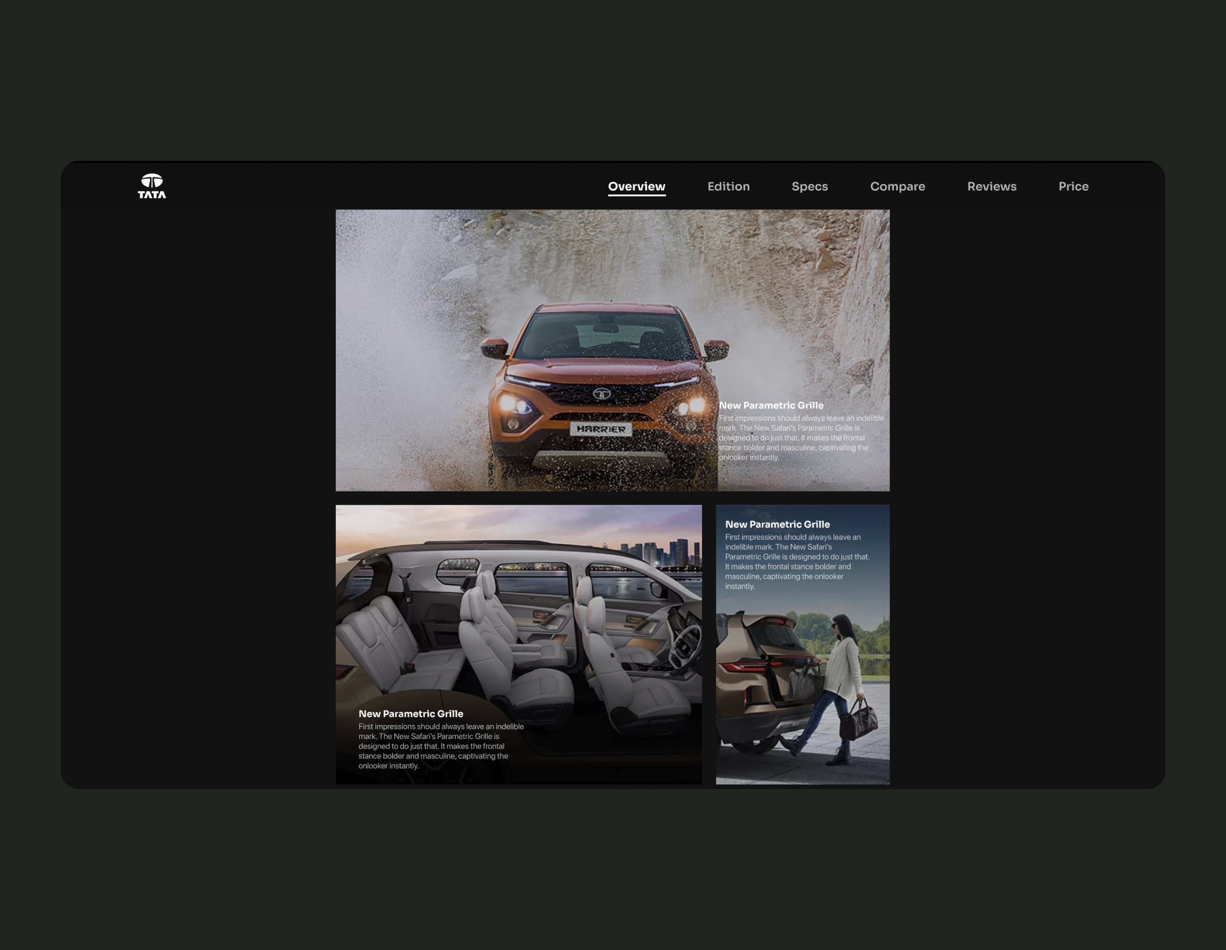 Tata parallax website template cover